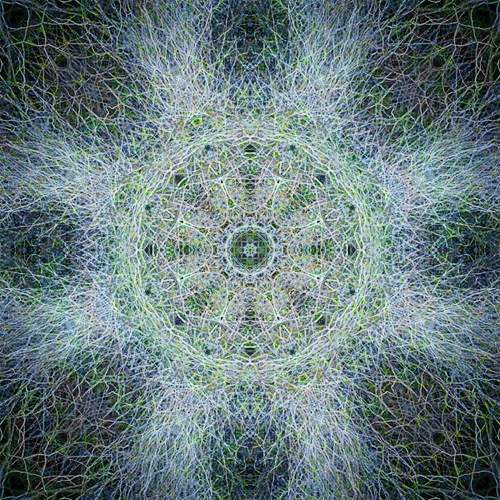 Olena Bilyk: Mandala