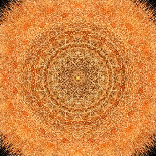 Olena Bilyk: Mandala