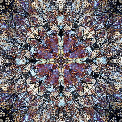 Olena Bilyk: Mandala