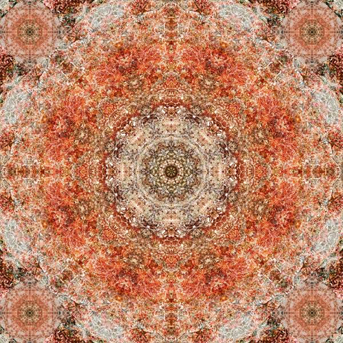 Olena Bilyk: Mandala